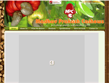 Tablet Screenshot of madhavprakashcashews.com